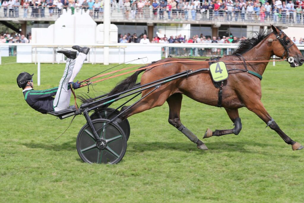 Finale du Trophée Vert 2026 à Craon