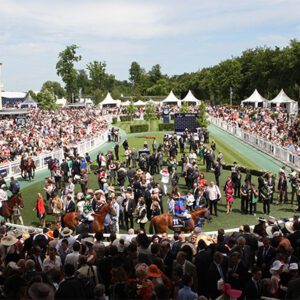 Box cadeau hippodrome L'Arpet Duo — Journée découverte courses chevaux