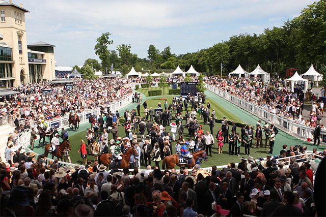 Box cadeau hippodrome L'Arpet Duo — Journée découverte courses chevaux