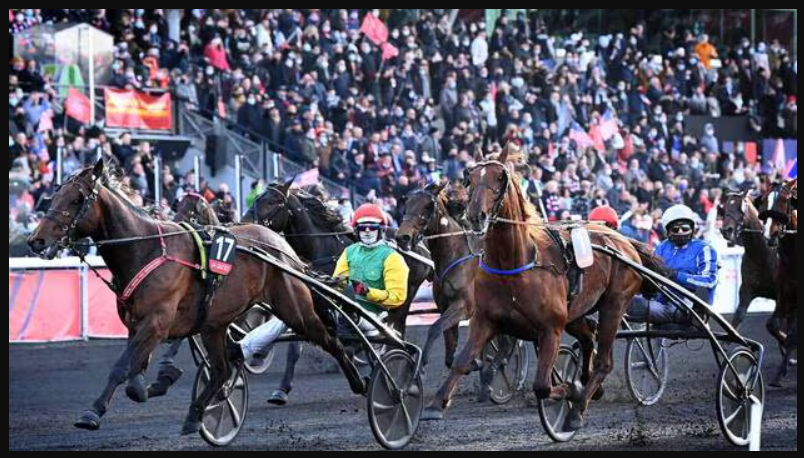projet turf pédagogique expliquant les courses hippiques comme un sport structuré