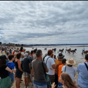 Formule famille hippodrome marin Ploubalay-Lancieux — Trophée des Plages 2026