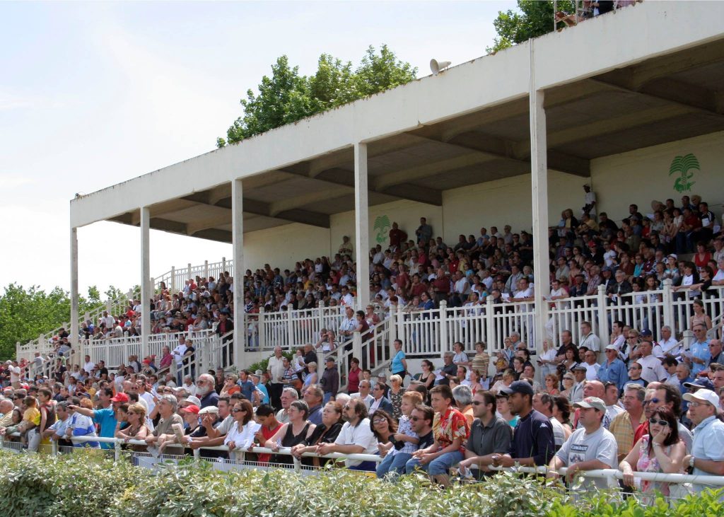 Public trophée vert Nimes