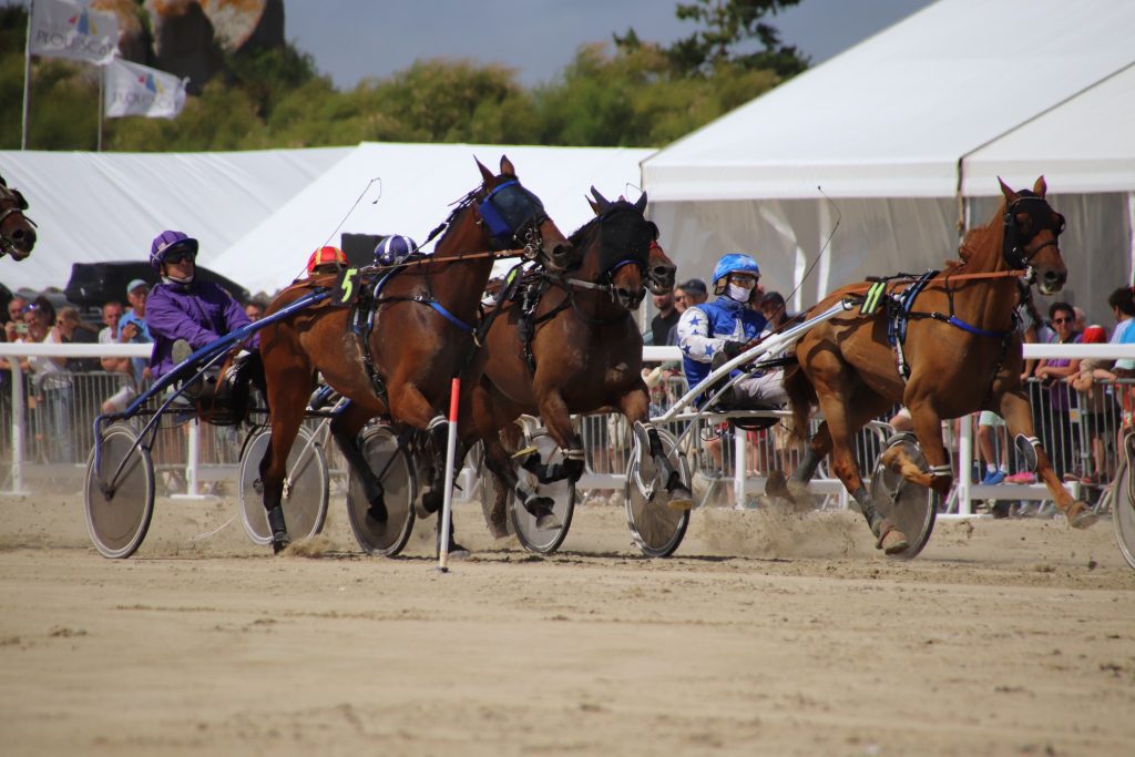 Week-end hippodrome marin Plouescat — courses de trot sur la baie du Kernic