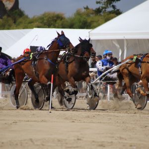 Week-end hippodrome marin Plouescat — courses de trot sur la baie du Kernic