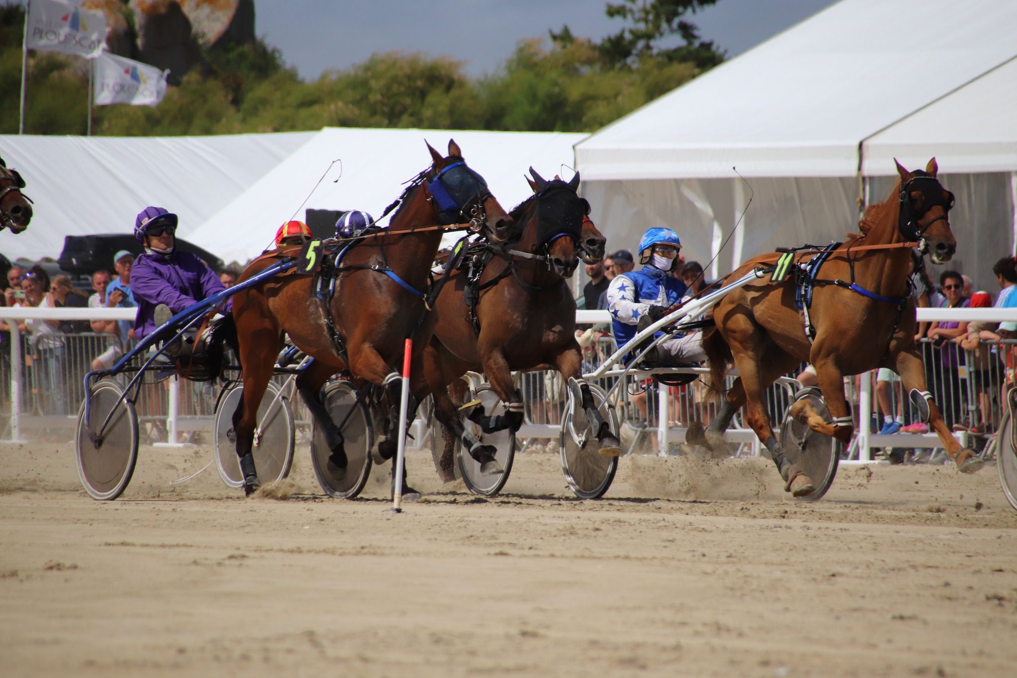 Week-end hippodrome marin Plouescat — courses de trot sur la baie du Kernic