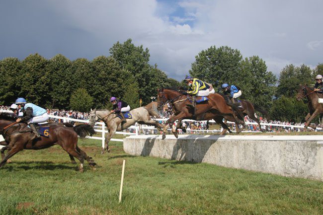 Trophée national du cross le petre contre bas devant les tribunes