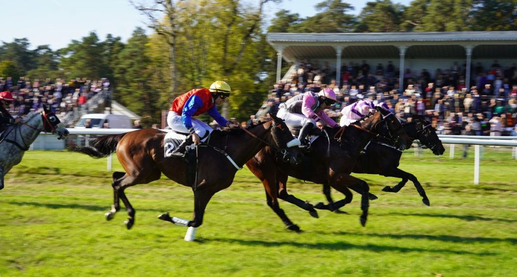 Arrivé trophée national du cross le pin au haras devant les tribunes