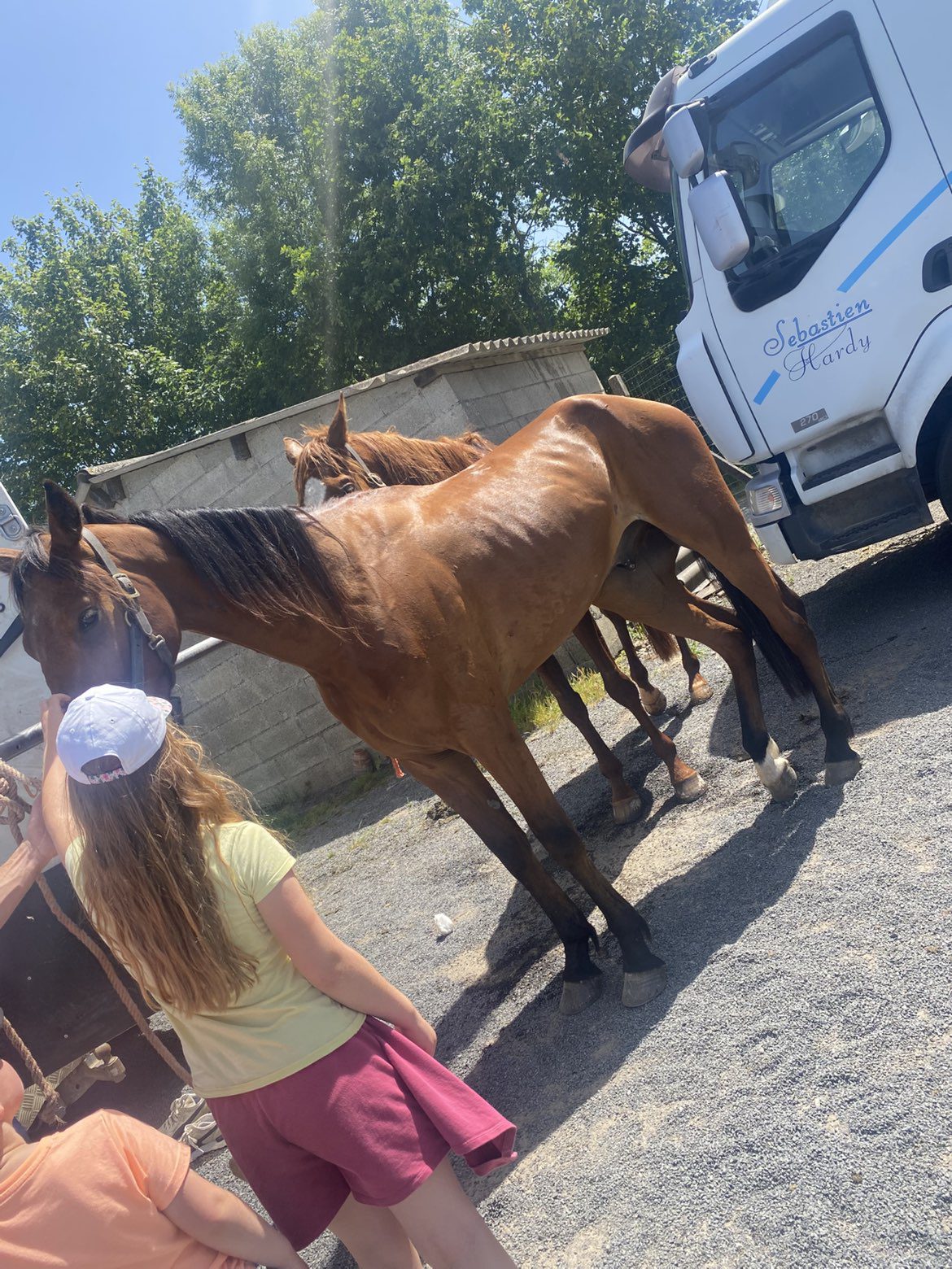 Découverte du monde des chevaux et des coulisses des courses hippiques