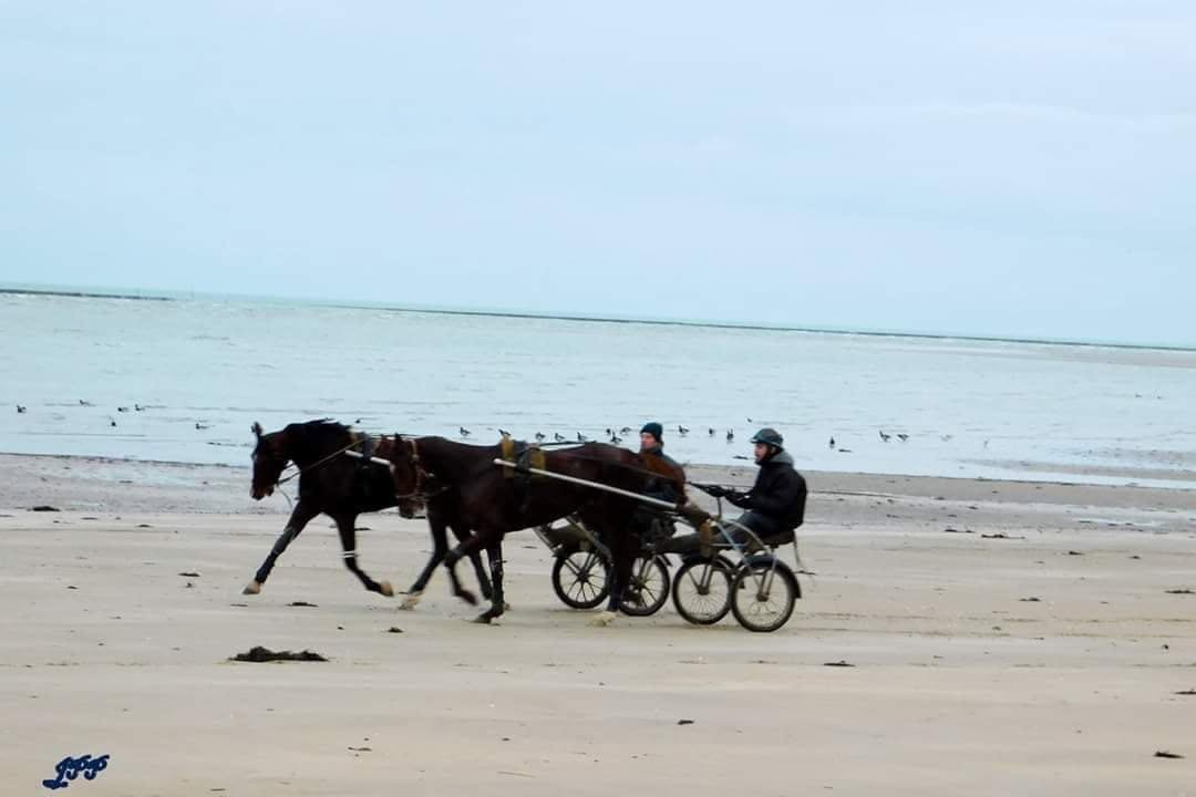 Fondateur de Turfly, ancien professionnel des courses, au travail avec un cheval aux côtés d'un entraîneur