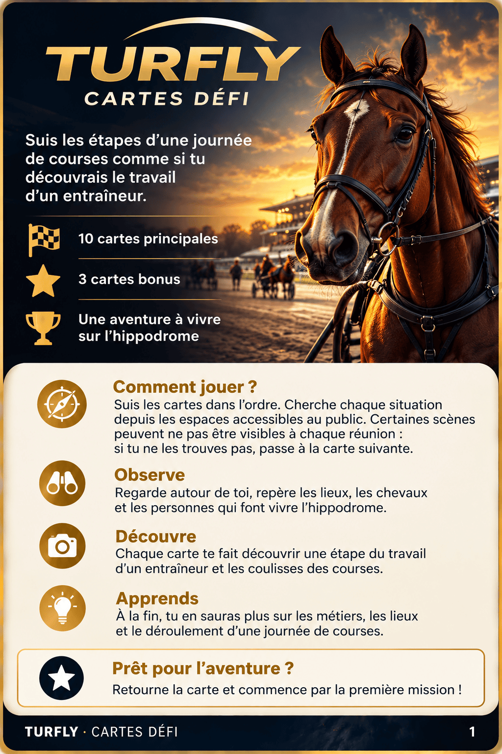 Cartes Défi Turfly — Dans les coulisses des courses